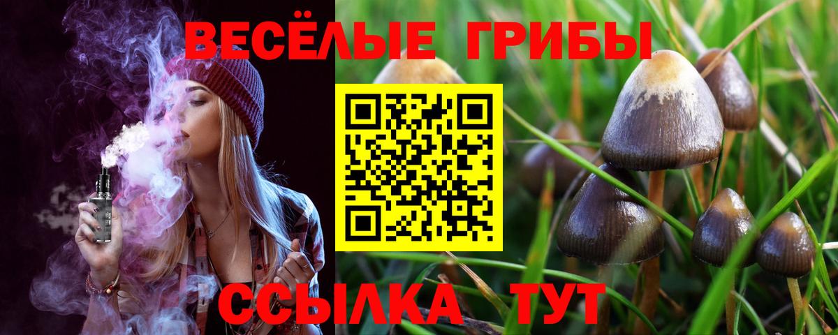 Ишимбай  Псилоцибиновые грибы мицелий  Вход с VPN 